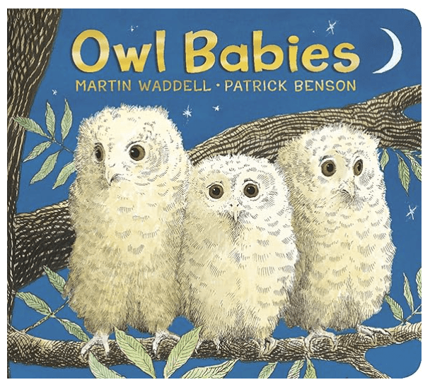 nature book for toddlers