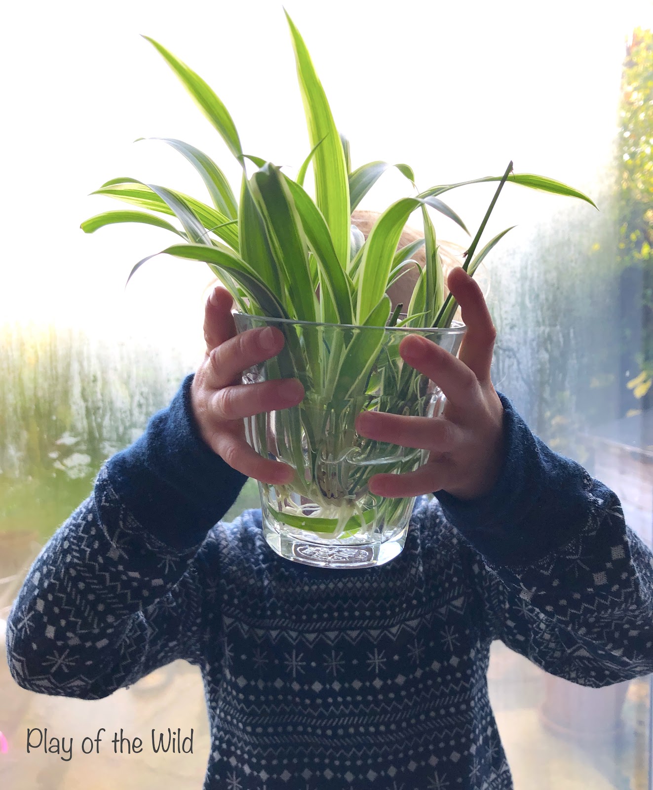 Outdoor Autumn & Winter Garden Activities for Children