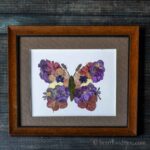 Framed pressed flower butterfly.