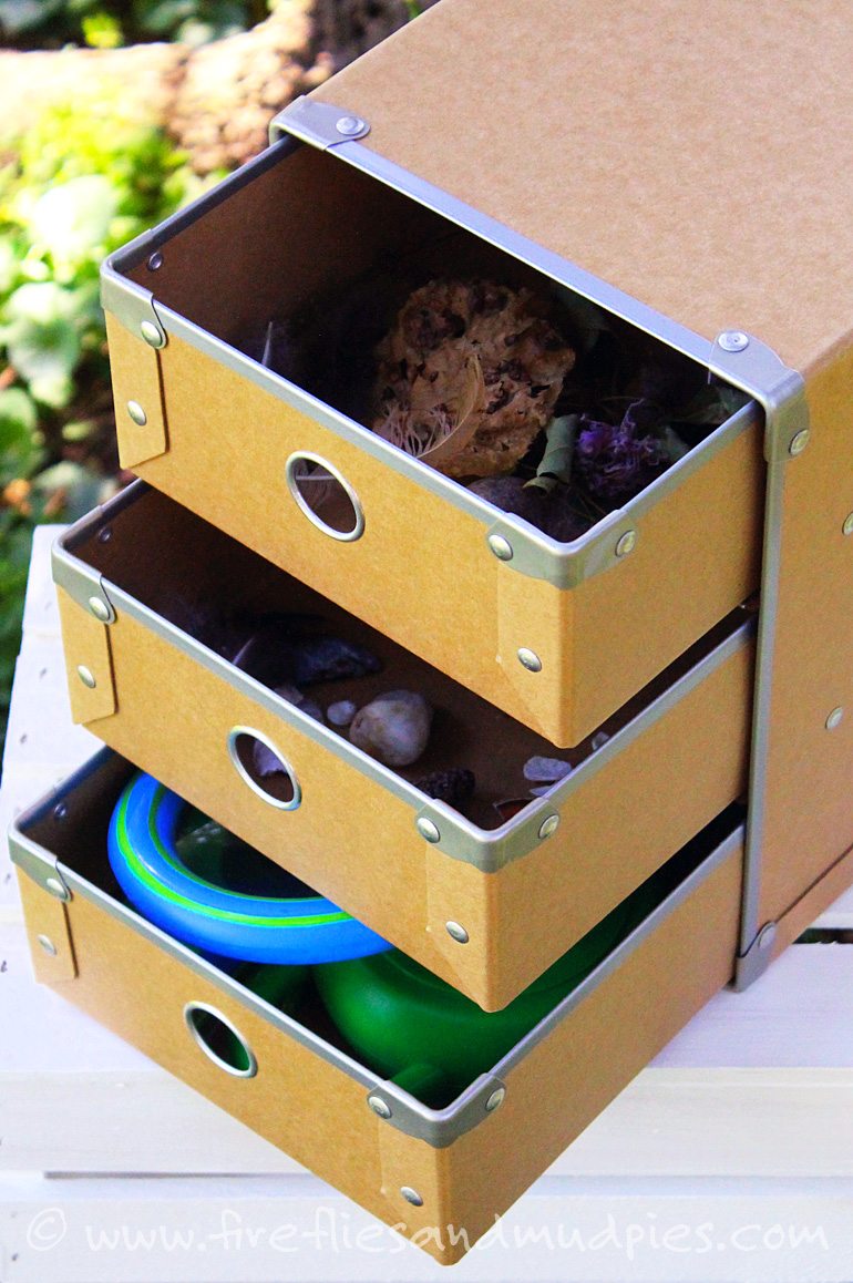 How to Organize Your Kids' Nature Collection | Fireflies and Mud Pies