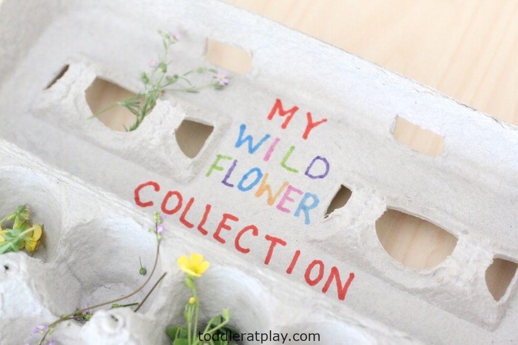 wildflower hunt- toddler at play (13)
