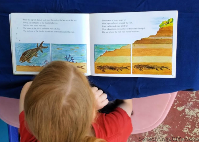 little boy reading a book about fossils