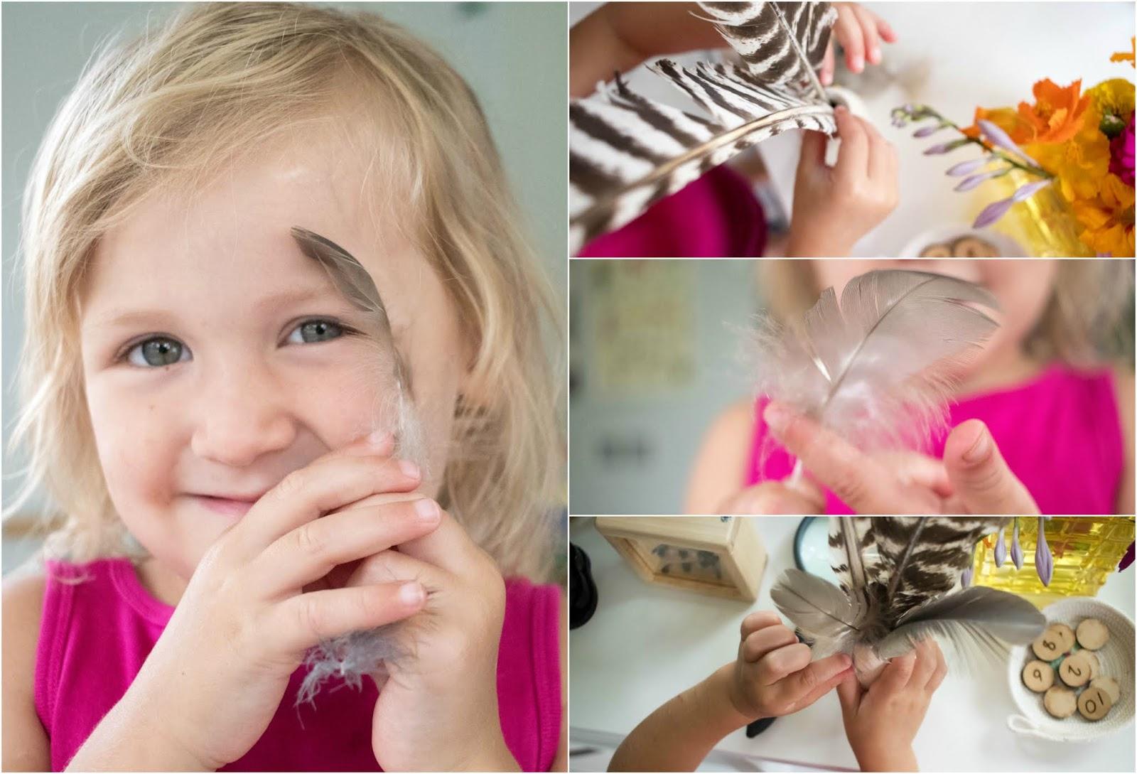 Supporting and Using your Child's Nature collection - easy science and nature discovery for your Montessori home