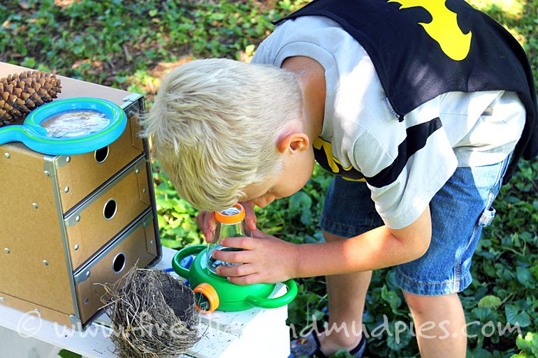 Exploring Nature with Kids | Fireflies and Mud Pies