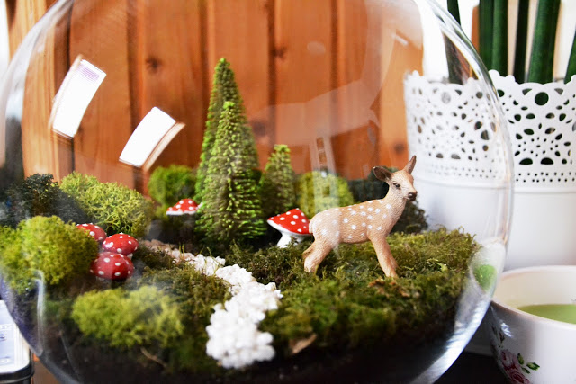 make a terrarium