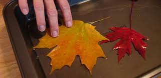to Preserve Fall Leaves and Branches ...
