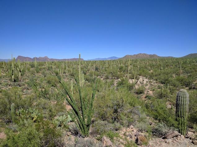 A picture containing outdoor, mountain, nature, hillside

Description automatically generated