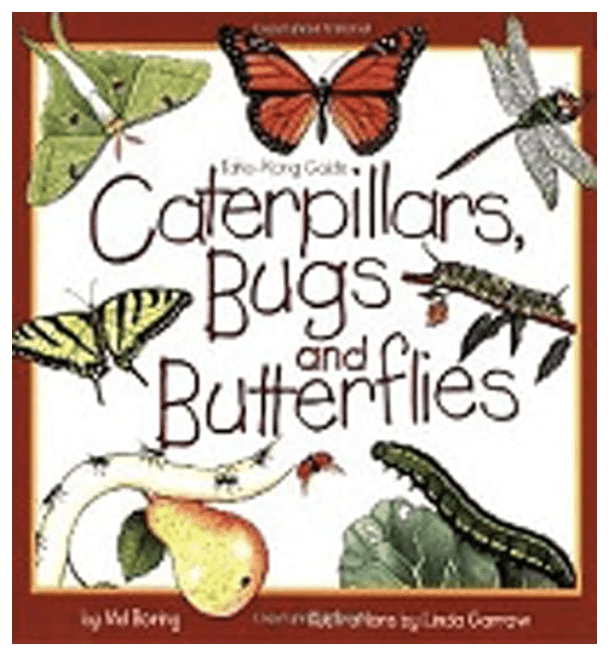 nature book for toddlers