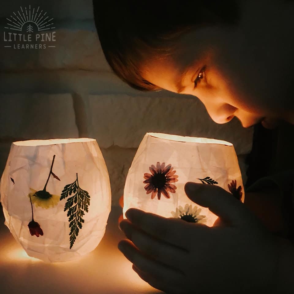 20+ Pressed Flower Crafts