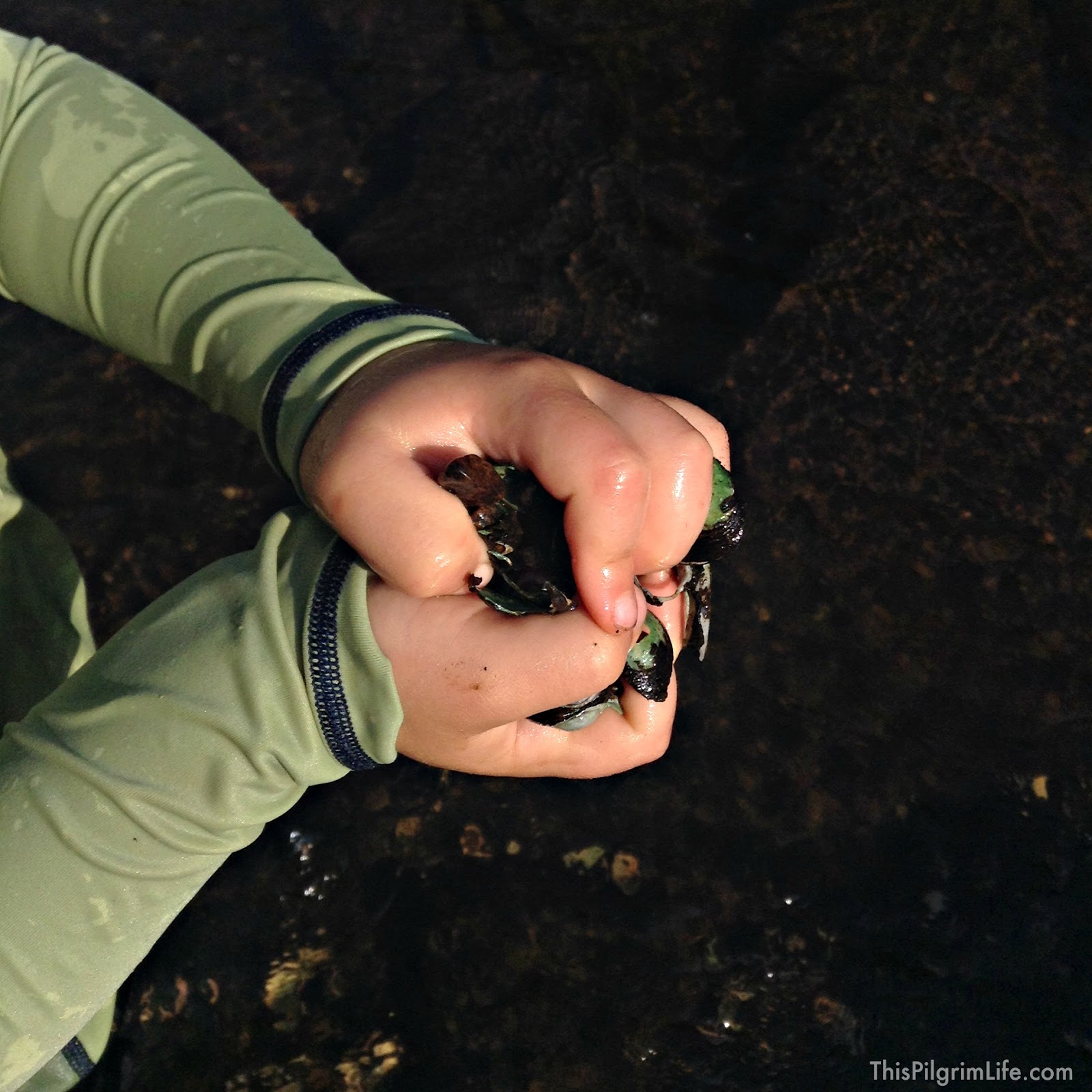 3 Reasons to Explore Wild Water with Kids & Tips to Keep Everyone Safe and Having Fun