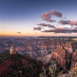 A bird flying over a canyon
Description automatically generated with medium confidence