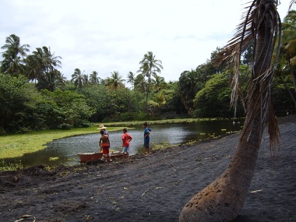 Young Boy Explores Aquascape Stream