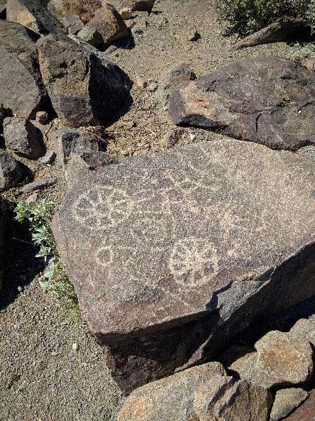 A close-up of some rocks

Description automatically generated with medium confidence