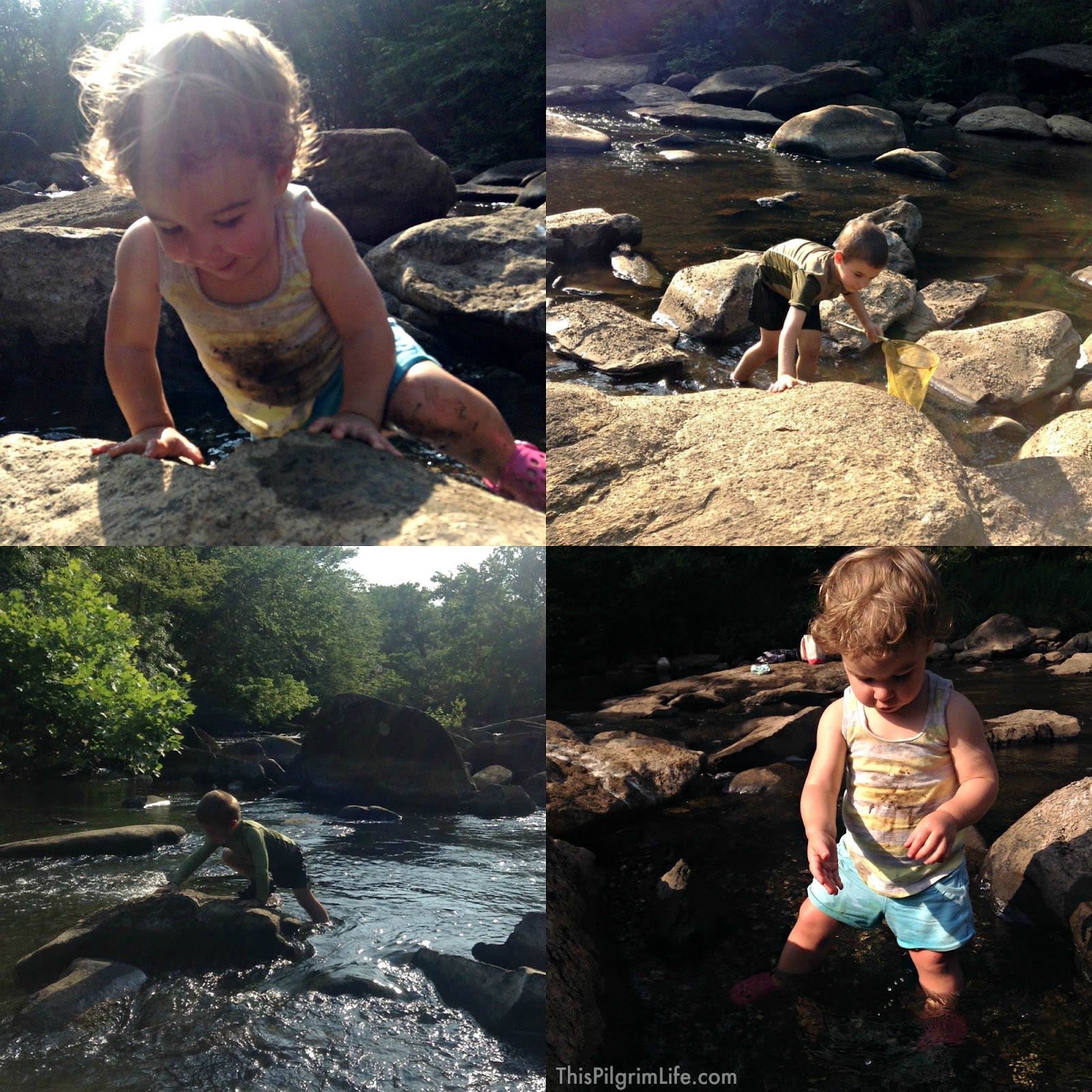 3 Reasons to Explore Wild Water with Kids & Tips to Keep Everyone Safe and Having Fun