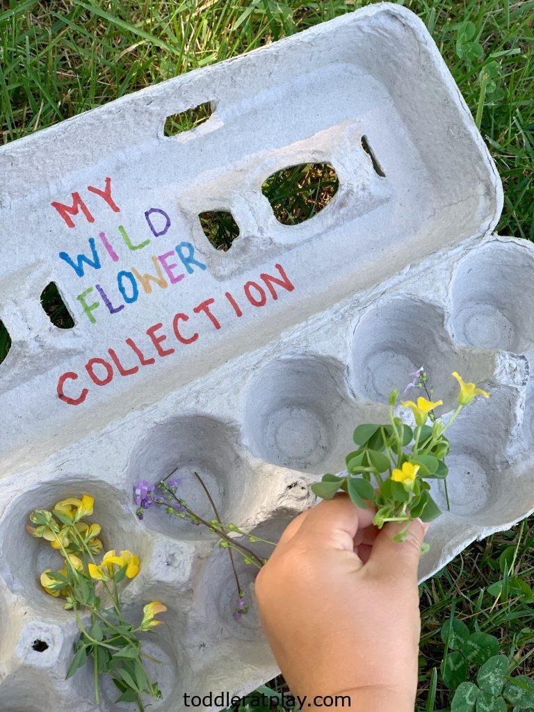 wildflower hunt- toddler at play (12)
