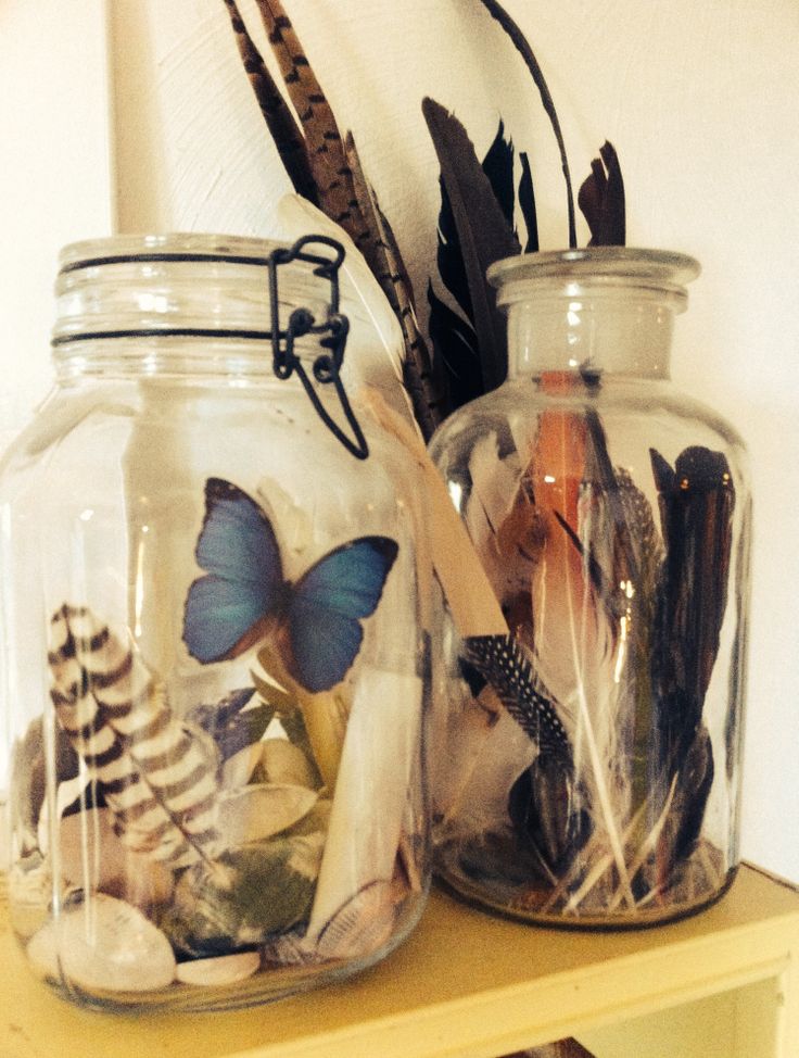 This may contain: two glass jars filled with different types of sea life on a shelf next to a plant