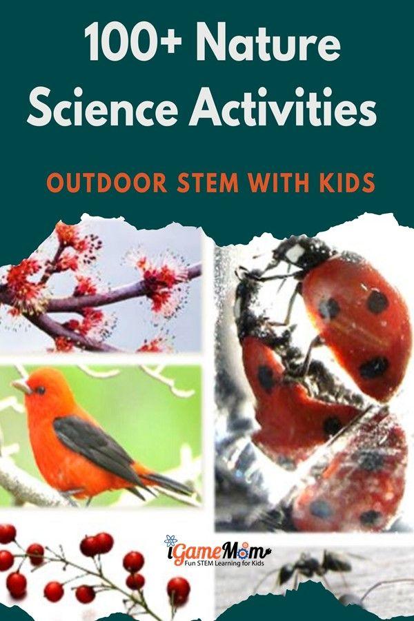 Nature science activities for kids to enjoy outdoor and learn. Fun backyard STEM ideas for summer camp homeschool.