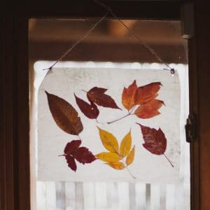 Autumn Stained Glass hangin in a window.