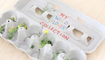 wildflower hunt- toddler at play (14)