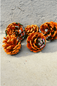 Dipped Pinecones Nature Craft