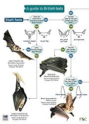 Diagram

Description automatically generated