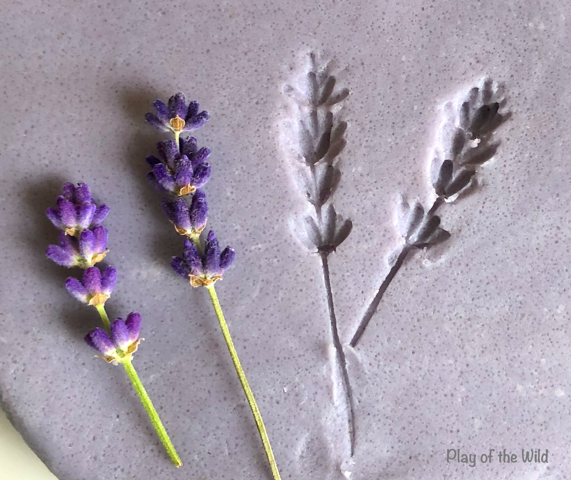 Aromatherapy Playdough Recipe. Lavendar playdough.