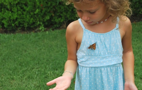 Saying Goodbye to Butterflies- Kid World Citizen