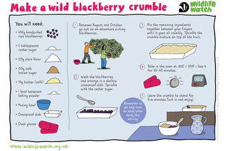 Blackberry crumble