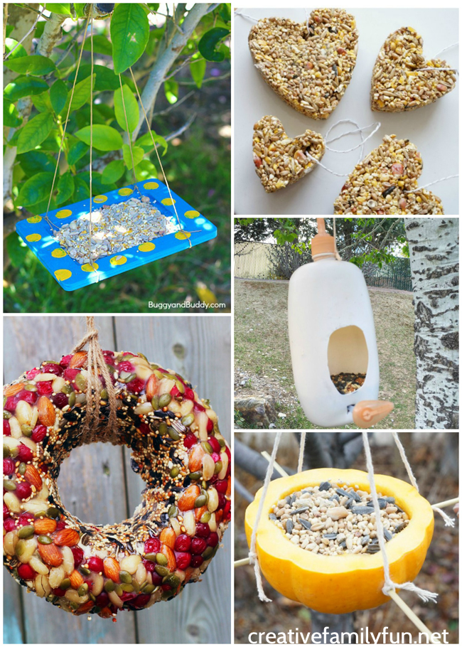 Invite the birds to your yard with one of these kid-made bird feeders. DIY bird feeders are a great family craft and a fun way to learn about nature.