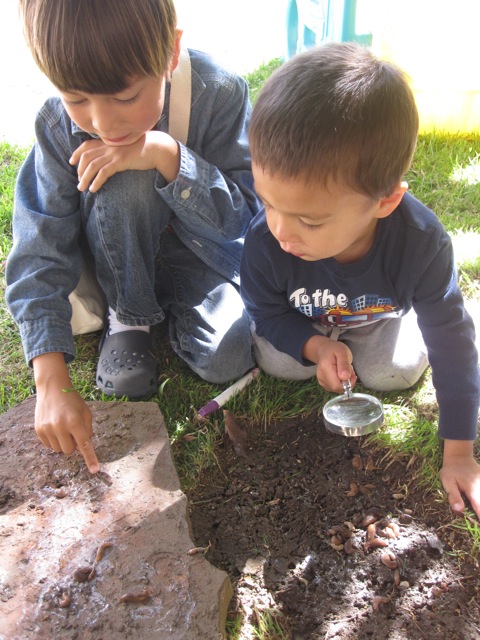 Backyard nature fun