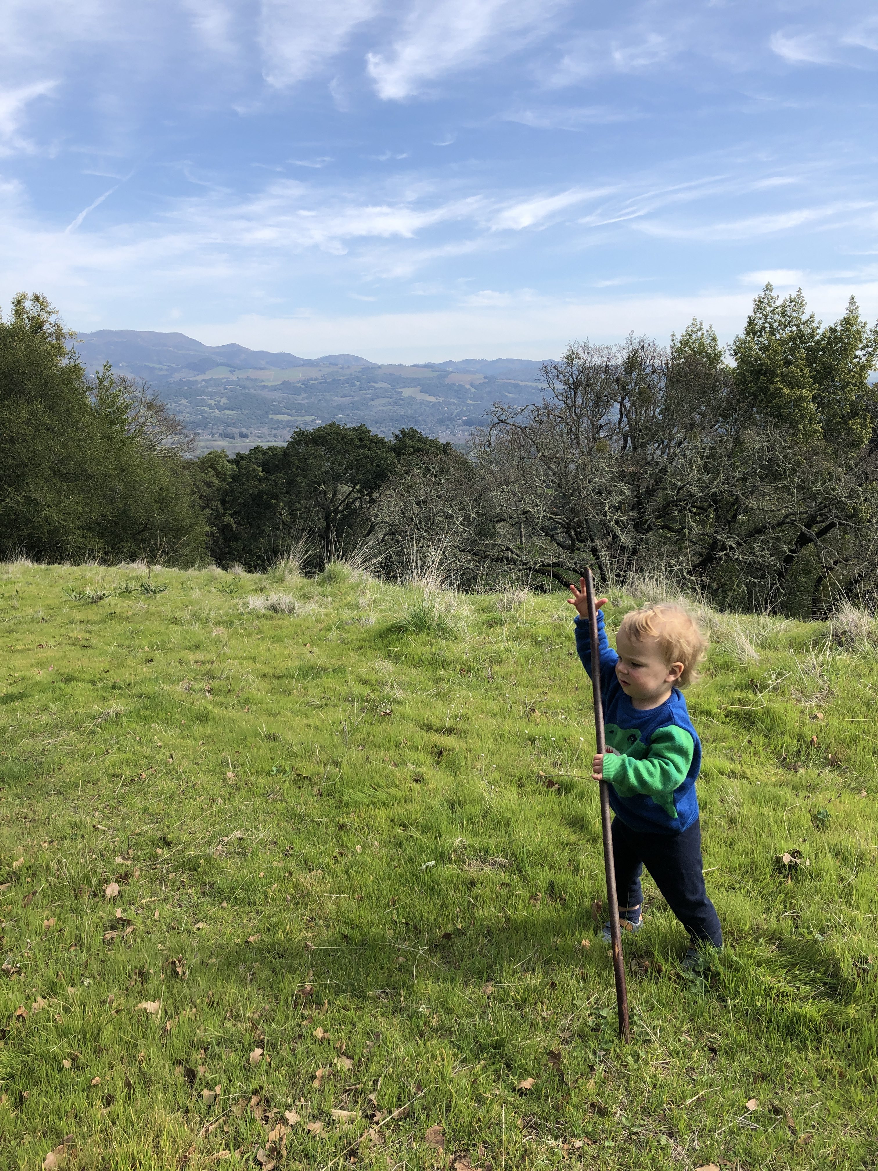 Toddler on a walk. Benefits of Going Outdoors