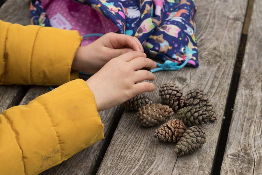 Child with a pile of pine cones