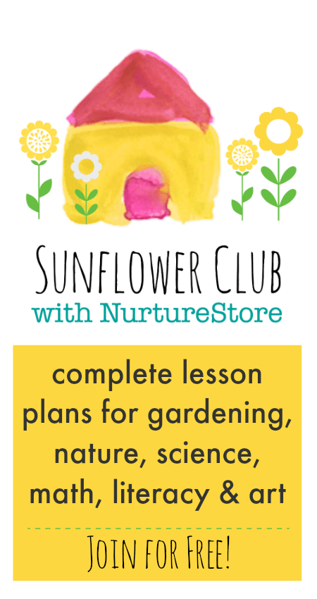 sunflower activities for kids, growing sunflowers with children