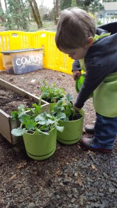 Teaching Toddlers How Things Grow and How to Plant a Garden. Gardening with Toddlers