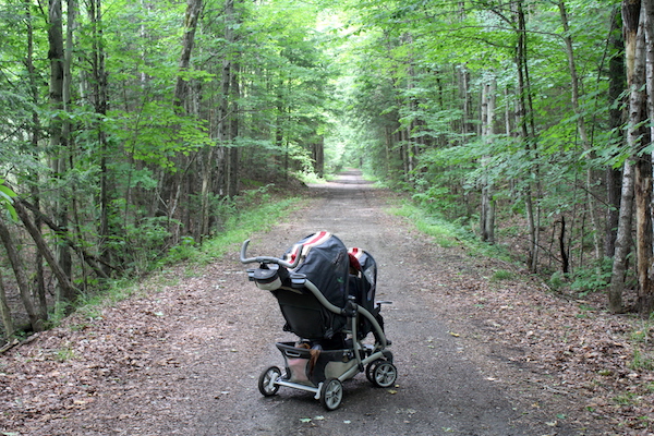 Double Stroller Foraging with kids