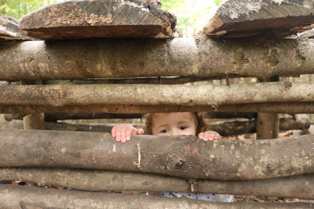 Fun things for kids to do on a woodland walk. Looking for things to do on a woodland walk? Nature ideas and activities to keep the kids busy!