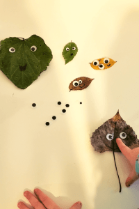 Leaves with Googly eyes Nature Craft