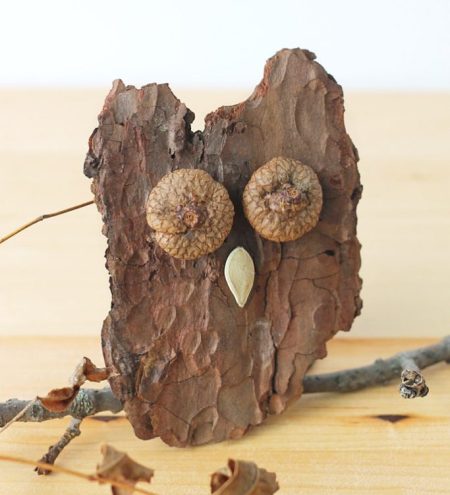 bark-owls-craft-for-kids-