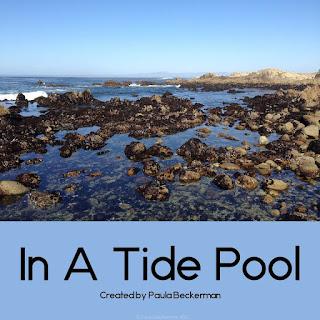 https://www.teacherspayteachers.com/Product/In-A-Tide-Pool-Non-fiction-Guided-Reading-Book-1868614