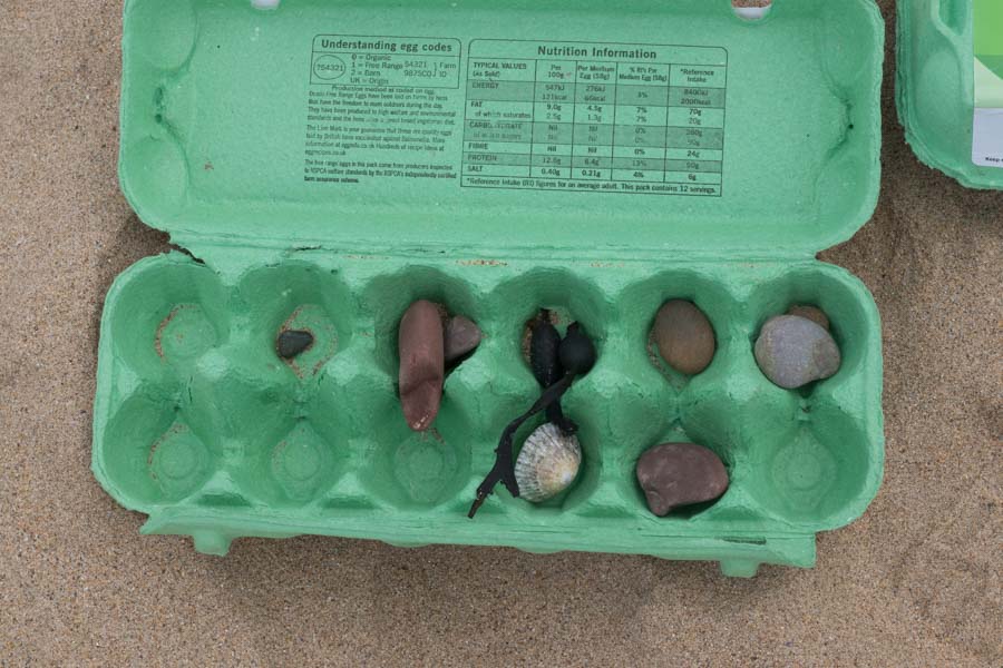 Egg box filled with shels, pebbles and sea weed