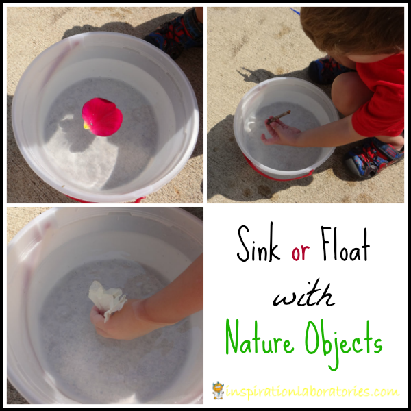 Sink or Float with Nature Objects