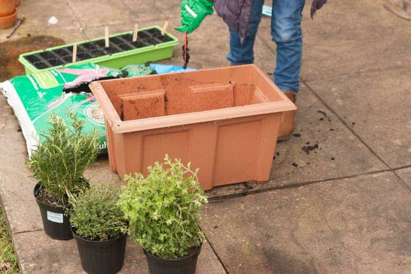 Starting gardening with children