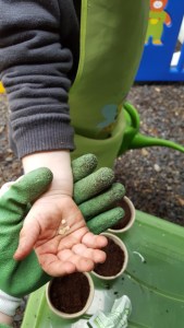 Teaching Toddlers How Things Grow and How to Plant a Garden. Gardening with Toddlers