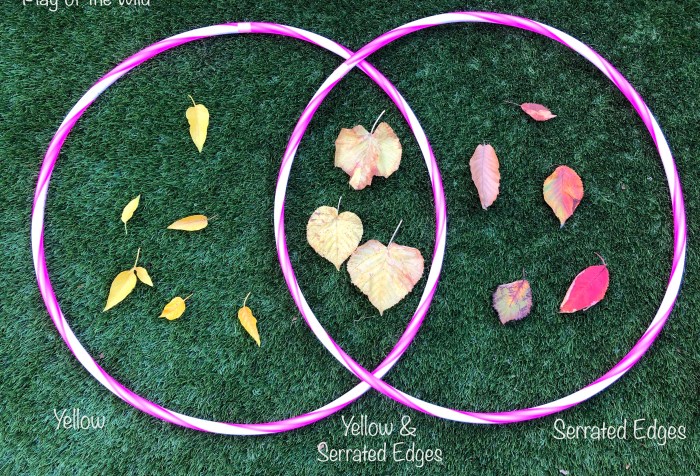 Venn Diagram for children with leaves.