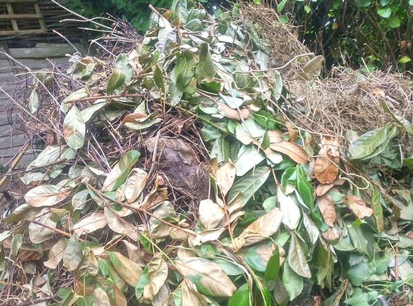 Compost heaps