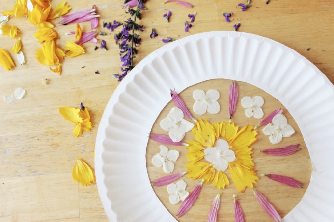 flower petal suncatcher nature art for kids