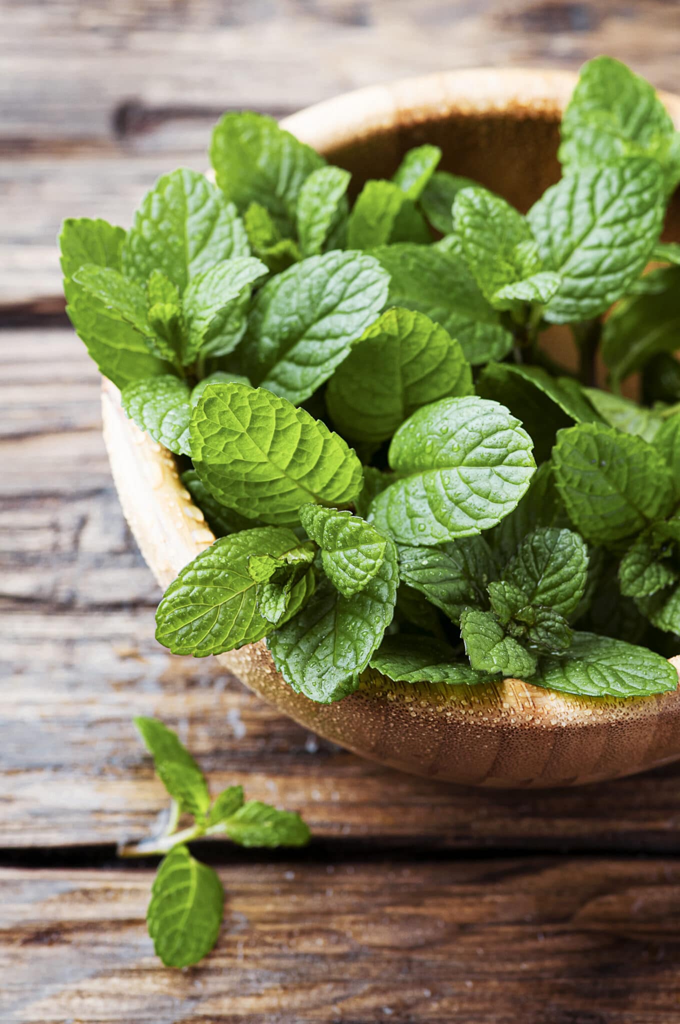 Green fresh mint om the wooden table, selective focus.