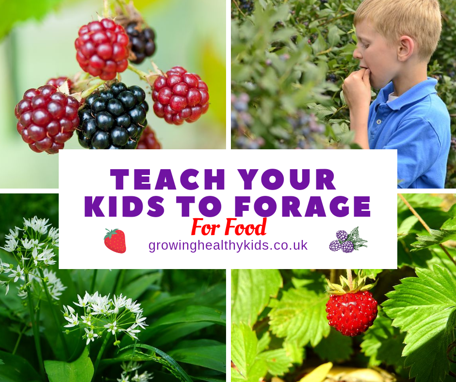 Forage with kids