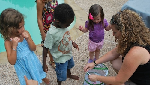 Learning about Butterflies at Home- Kid World Citizen