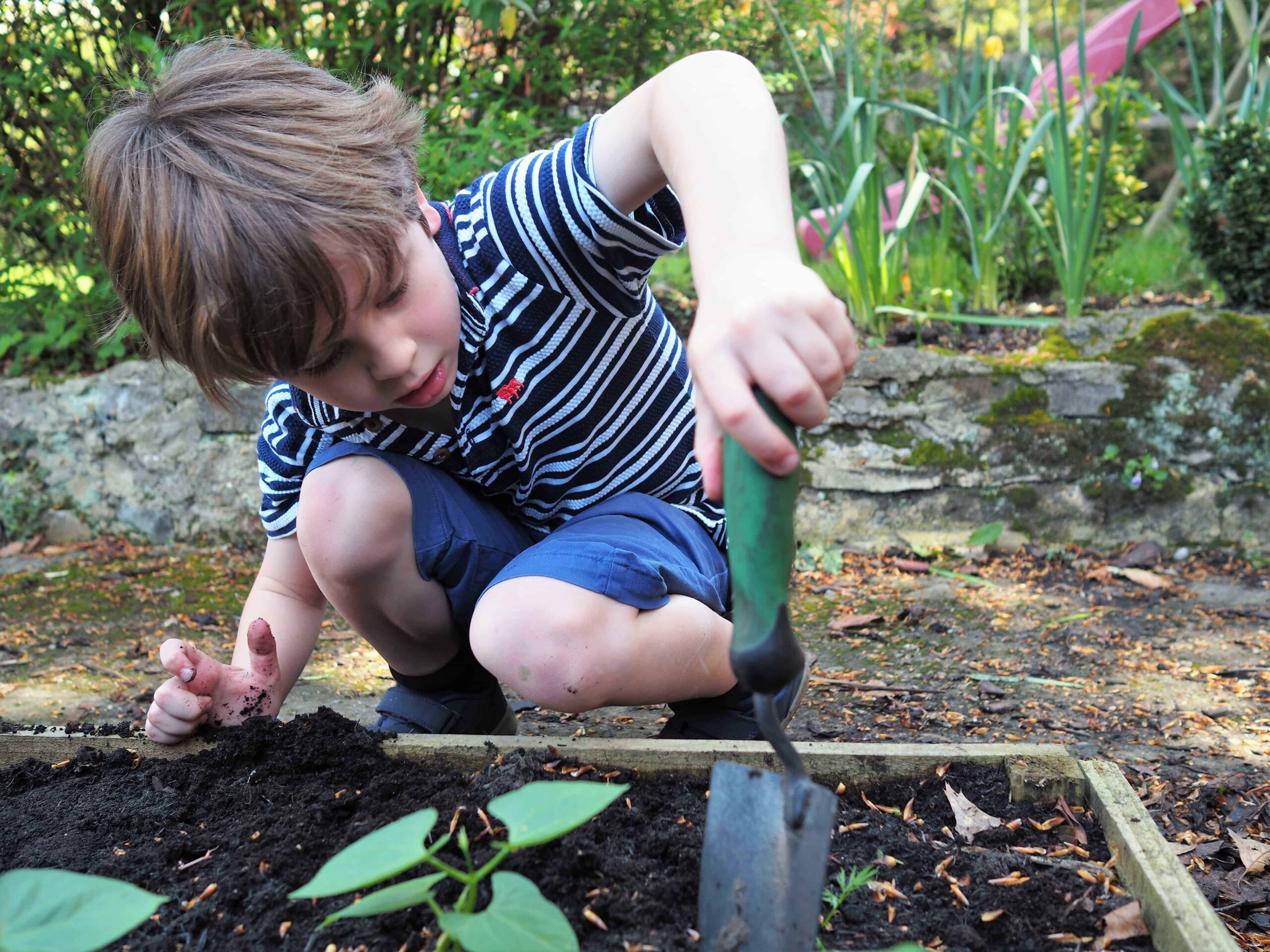 Spring-a-ling: time in the garden